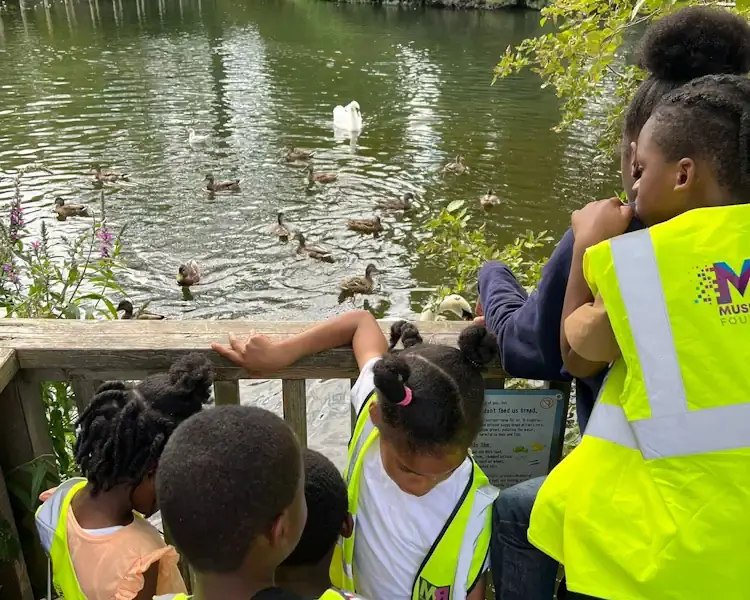 Children in hi-vis vests watching ducks on a pond during the Enriching Lives holiday club